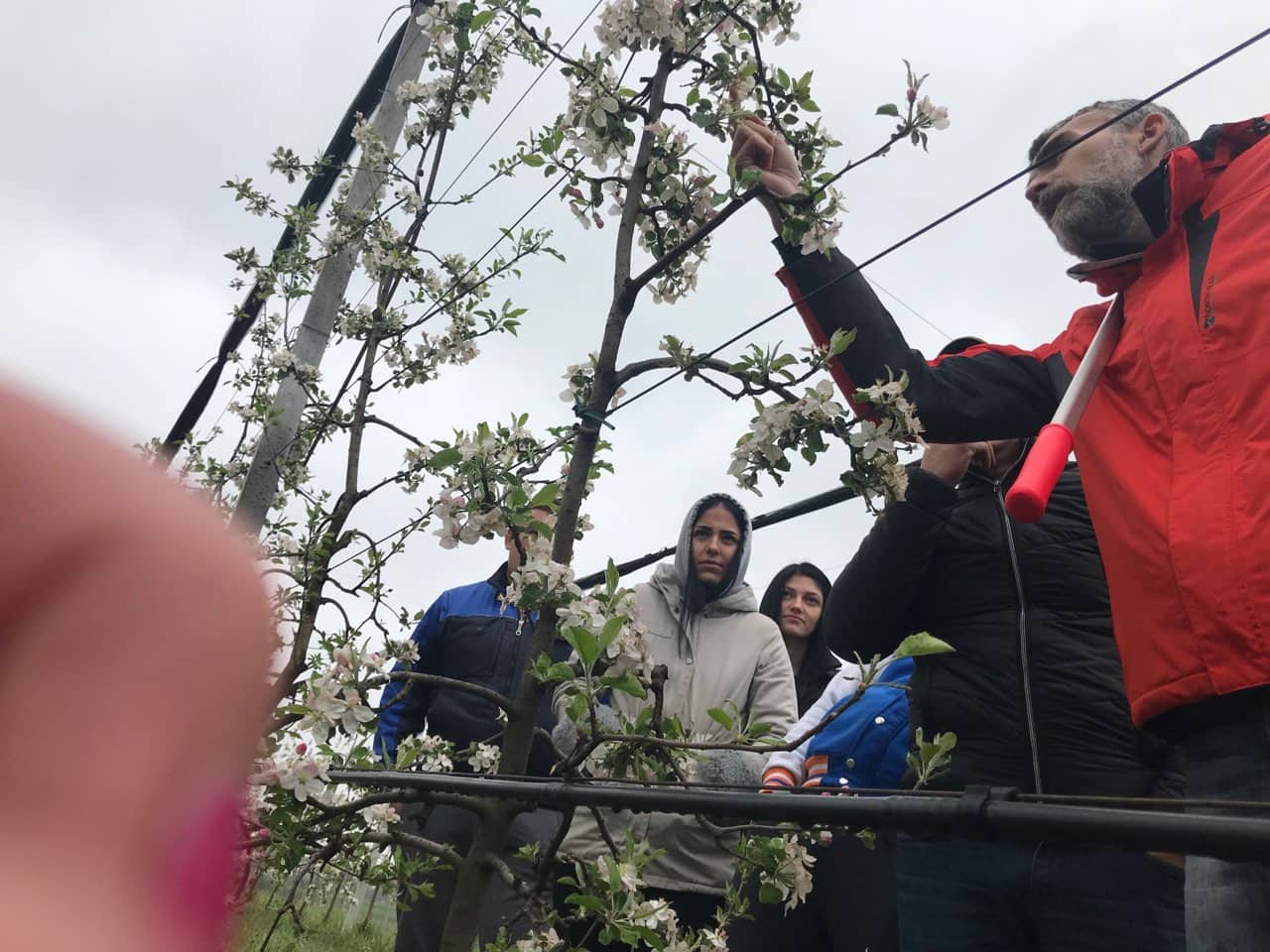 fructus nove slike s radionica 1