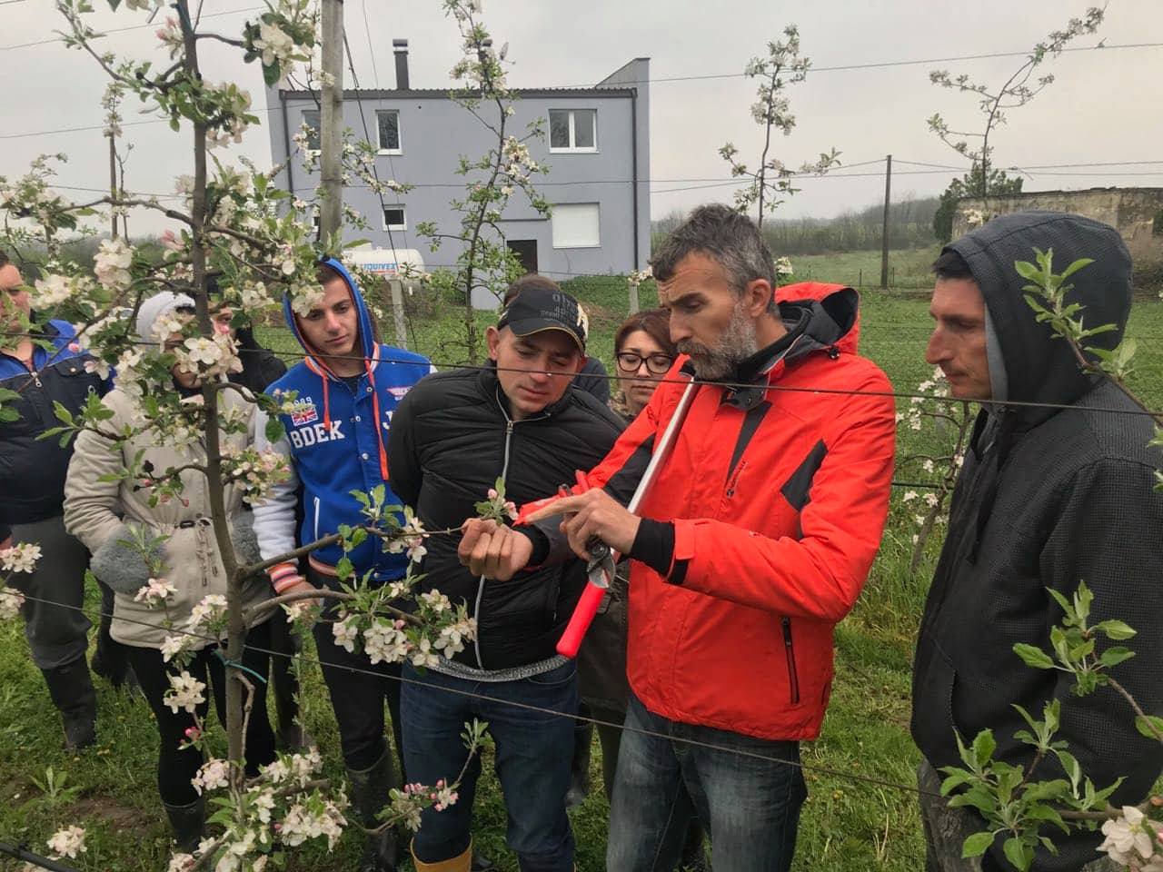 fructus nove slike s radionica 2